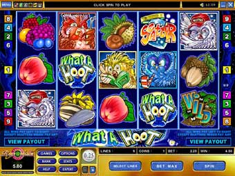 MicroGaming What A Hoot Slotmachine